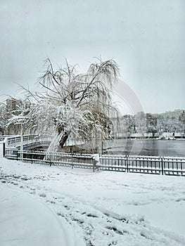 First important snow in Bucharest