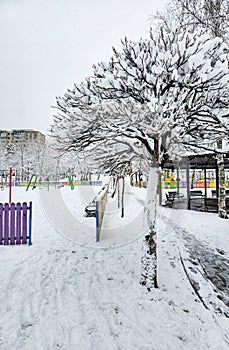 First important snow in Bucharest