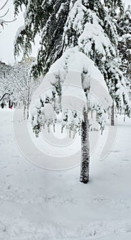 First important snow in Bucharest