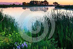 First Light On The Colorado Plains