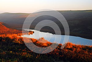 First light on Drakes Bay and the valley