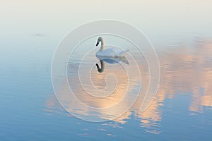 First light on a lake