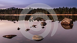 First light over Loch Morlich, Scotland