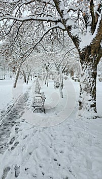 First major snow in Bucharest