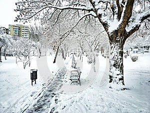 First major snow in Bucharest