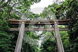 First meiji jingu torii gate
