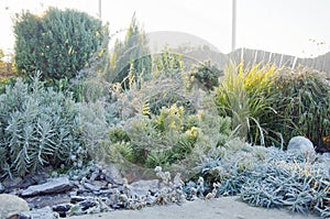 First morning frost in the garden in autumn