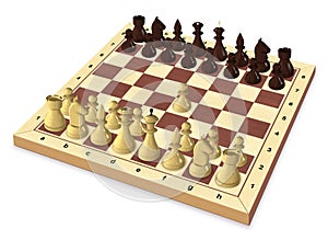 The first move of the chess game