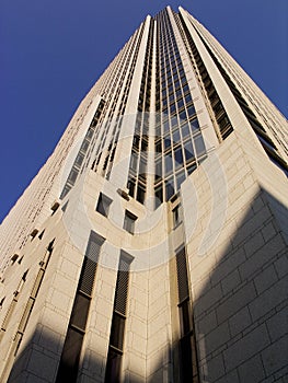 El primero la Torre perfil 