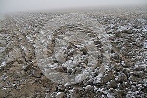 First night-frost at the land of the farmer in the winter.