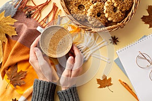 First person top view photo of female hands in jumper holding cup of frothy cocoa over plaid yellow maple leaves anise wicker tray