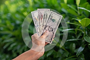 First person top view photo of hands holding fan of dollars banknotes on plant background