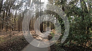 First person view of bicycle ride through forest on sunny day in the netherlands