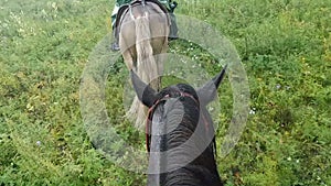 First-person view while riding a horse. Learning to ride. Horse ride in the field. Mane, head and ears horse.