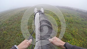 First person view of riding a horse. Point of view of rider walking at stallion at nature. Pov motion. Close up