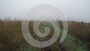 First person view of riding a horse. Point of view of rider walking at stallion at nature. Pov motion. Close up