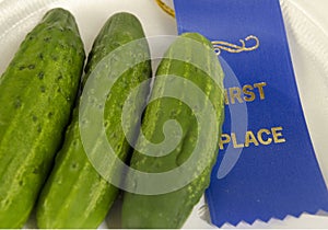 First Place cucumbers