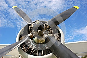 First postwar Ukrainian plane 