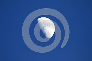 First quarter moon