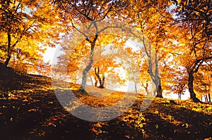 Genal Valley in autumn, MÃÂ¡laga