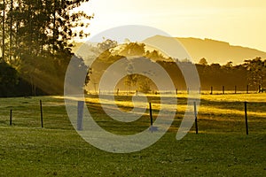 the first rays of the sun on the Brazilian fazenda. Beautiful sunrise photo