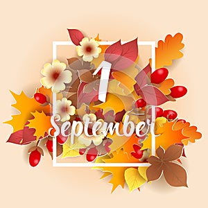 First September Autumn Background.