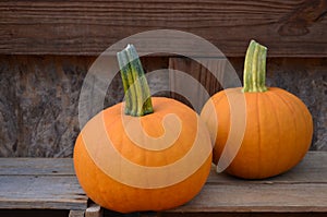 First sights of pumpkins