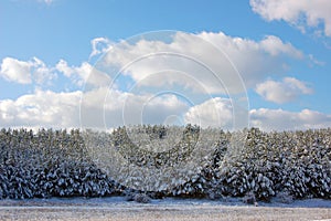 First snow.