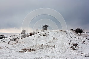 First snow