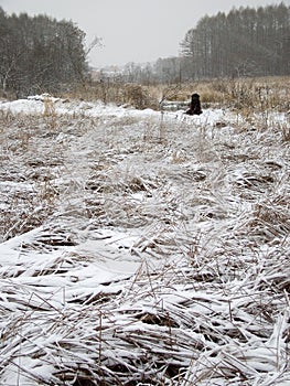 First snow