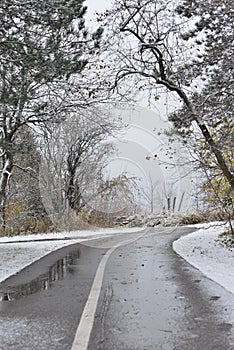 The first snow. Abandoned road