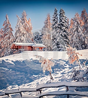 First snow in Alpe di Siusi village with wooden chalet among the red larch trres.