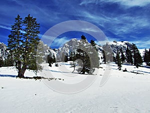 The first snow on the Alvier group mountain range