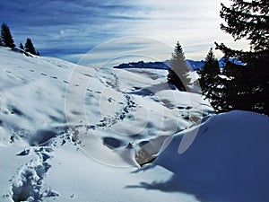 The first snow on the Alvier group mountain range