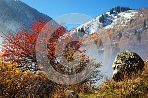 First snow in autumn mountains