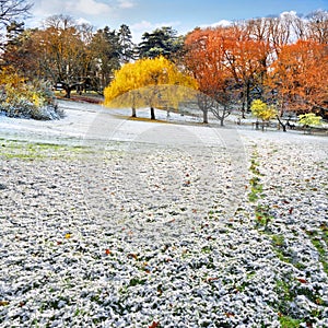 The first snow in the autumn park. Landscape;