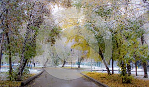 First snow in autumn Park, soft photo