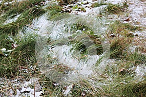 The first snow on a background of green grass in the fall.
