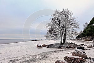 The first snow on the coast of the Gulf of Finland