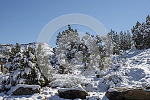 First Snow in the Colorado National Monument