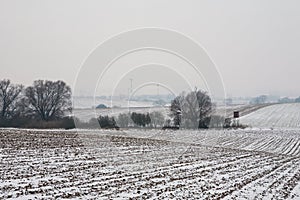 First snow on the corn field photo