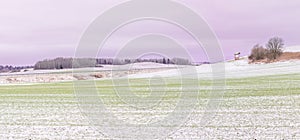 First snow on crop fields in daylight