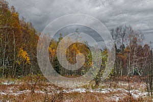 The first snow fell. The leaves did not have time to fall.