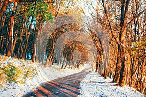 First snow in the forest. Beauty world. Road