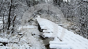 First snow in the forest with wooden bridge