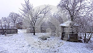 First snow and Frozen little garden house and frozen garden