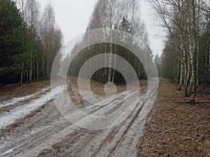 First snow on a path in the dark forest