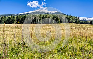 First Snow of the Season on Mt Humphreys near Flagstaff, Arizona