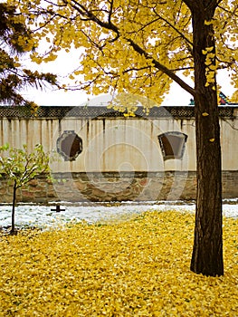 The first snow in summer palace
