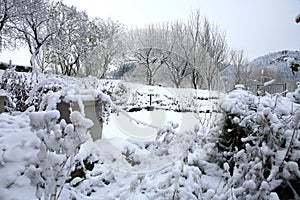 First snow in tge garden. Beginning winter.